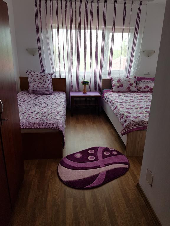 Casa Rustica Apart & Rooms Cimpineanca Exterior photo
